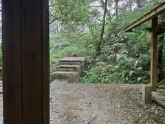 -广州市帽峰山景区