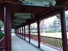 -汤山公园