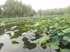 -南翠屏公园