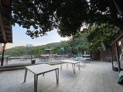 -鲤鱼塘农家山庄