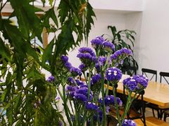 -WATER CAFE(广厦店)