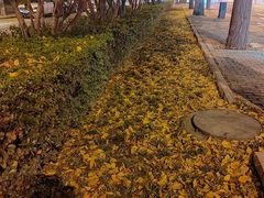 -蓬莱阁中餐厅(崇文门店)