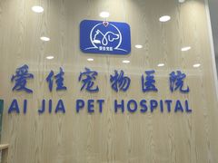 -爱佳宠物中心医院·骨外科·猫专科·急重症(瑶海万达店)