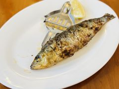 -小飞象葡国餐