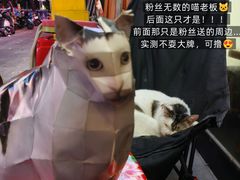 -威邵鸡煲(西华路总店)