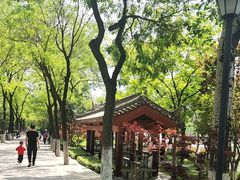 -莲湖公园