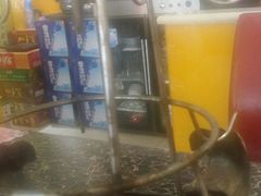 -城一锅涮烤羊蝎子·烤串