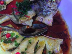 -MARU玛露音乐餐厅(大学路店)