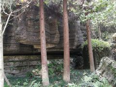 -梭布垭石林景区