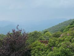 -广州市石门国家森林公园