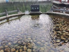 -百脉泉景区