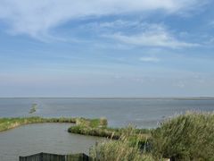 -盐城丹顶鹤湿地生态旅游区