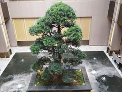 -外滩·云南人家(昆明旗舰店)