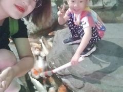 -泉城欧乐堡海洋极地世界