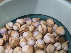 -启东黄金海滩景区