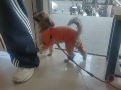 -艾贝尔宠物医院 ·中兽医·宠保定点(北门桥店)