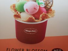 -哈根达斯(美罗城店)