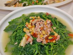 -宝园酒家(美林M·LIVE天地东座店)