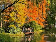 -上海共青森林公园