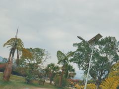-中国科学院西双版纳热带植物园