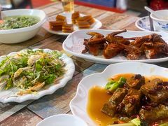 -东鸽皇(奥园·中环广场店)