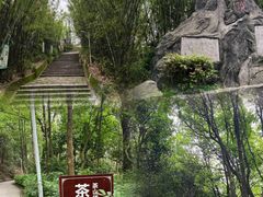 -东莞市大岭山森林公园