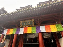 -新加坡佛牙寺龙华院