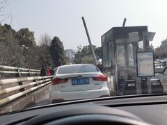 -南山植物园