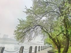 -南宁南湖公园