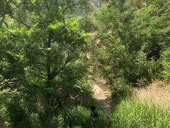 -碓臼峪自然风景区