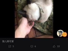 -百家筝鸣古筝艺术中心(瑞基大厦观前校区)