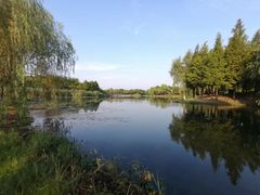 -尚贤河湿地