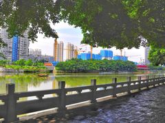-光明港公园