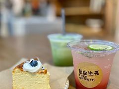-自由生长植物工作室(深港花卉中心店)