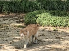 -清晏园