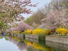 -元大都城垣遗址公园