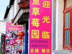 -小鱼草莓采摘园农家乐·小鱼餐厅