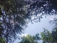 -井冈山风景名胜区
