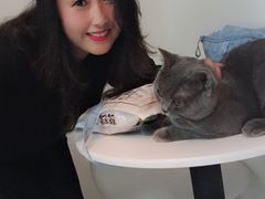 -我爱猫咪·猫咖·狗咖·安哥拉兔·羊驼咖(小寨华旗店)