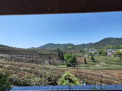 -龙坞茶村