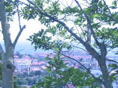 -信号山公园
