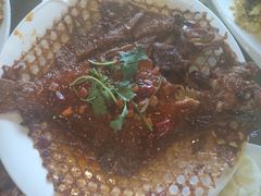 偏口鱼-大鹅岛绿色生态美食园