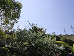 -重庆园博园