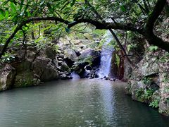 -莫干山风景区