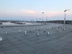 -东港音乐喷泉广场