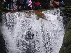 -牛背梁国家森林公园