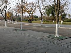 -眉山湿地公园(东坡区)