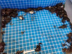 -加尔森烤肉海鲜·火锅烧烤自助