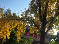 -方山风景区定林寺