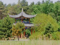 -黑龙江省森林植物园